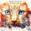 Nacho Piccolini - Downlifter