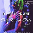 DJ Blue Wave - Blg Room Blte (Vol. 8) (30.05.2021) ()