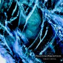 Phantom Perception - Vibrant Crystal (Original Mix)