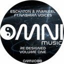 Eschaton & Parallel - Dialogue (Brijawi\'s Soul Talk Remix)