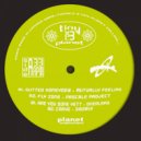 Pascale Project - Fly Zone