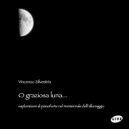 Vincenzo Silvestris - Moonlight Shadow / L'angelo azzurro / Storie di tutti i giorni