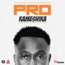 Pro & Naiboi & Kristoff & The Kansoul & Jegede - Kameshika (feat. Naiboi, Kristoff, The Kansoul & Jegede) (Remix)