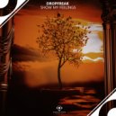 Dropfreak - Show My Feelings ()