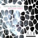 Aspen Bizarre Disco - Birthday Wired (Original Mix)