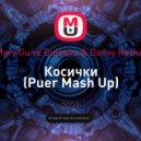 Mary Gu vs Butesha & Danny Rockin - Косички (Puer Mash Up)