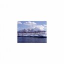 Mindfulness Healing Sleep BGM Project - April and BGM