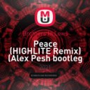 Brothers In Lows,HIGHLITE - Peace (Alex Pesh bootleg remix)