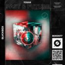 Tosak - Past & Future (Extended Mix)