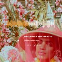 DIMTA - ORGANICA MIX PART 21