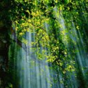 celestial sequencing - the force of nature