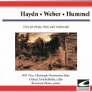 Christoph Haarmann & Otmar Zwiebelhofer & Bernhard Maier - Haydn-Trio for piano, flute and violoncello in D major Hob. XV no. 16: Vivace assai ()