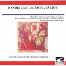 Conrad von der Goltz Chamber Orchestra - Bartok - Divertimento for Strings - Allegro assai ()