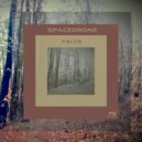 SPACEDROME - Far (Original mix)
