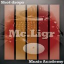 Mc.Ligr - Connect ()