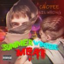 Chopee - Поделочные монеты