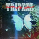 TRIPZZZ - BUTTERFLY EFFECT