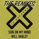 Will Varley - Sun On My Mind