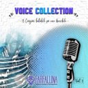 Fausto Fulgoni - Luna park ()