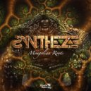 Syntheze - Mongolian Roots (Original Mix)