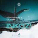 Native Tribe & Da Q-Bic Feat. Thab De Soul & Shona SA - Inkozi (Original Mix)