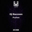 Dj Vl Raccoon - Pushes (Original)