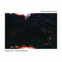 Hidden Sky & Mark Whittaker - All The Stars in the Sky ()