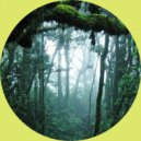 Diego Rva - Jungle (Original Mix)