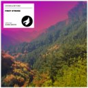 Crown & Beyond - First Stroke (Original Mix)