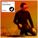 Falcos Deejay - Analog Process (Original Mix)