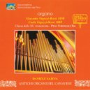 Daniele Sajeva - Noels pour Orgue, op. 60: Elévation sur le Noel Carcassonais Aousissi Miquel uno Canson Tant Charmanto; qué lé qué la Canto deu ess un Angel ()