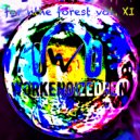 workenoizedren - for the forest XI ()