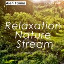 Aleh Famin - Relaxation Nature Stream ()