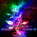 Spiritizm - Olly Flower ()