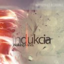 Indukcia - Walking Minds