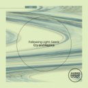 Following Light - Cry and Rejoice