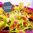 Junesix - Untouchables