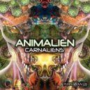 Animalien & Seggae - Alien Meeting (Original mix)