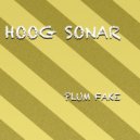 Hoog Sonar - Plum Fake (Radio Edit)