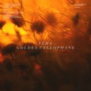 VEHA - Where We Belong