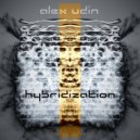 Alex Udin - Hybridization