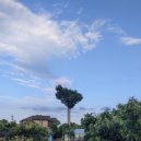 Dirty Lee - Tesla ()