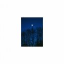 Mindfulness Healing Sleep BGM Project - Aurora & Hearing (Sleep BGM)