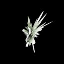 Michael Wall - Gourmet ()