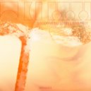 Lotus Land Pilot - Loop666 (Original Mix)