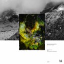 Manuel Di Martino - The Deepest Vision