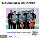 7 Note in Armonia & ensemble a plettro - La sagra del villaggio; Fantasia ()