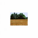 Mindfulness Healing Sleep BGM Project - Critical point and Delicateness