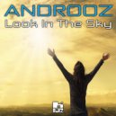 Androoz - Look In The Sky (Original Mix)