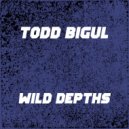 Todd Bigul - Wild Depths (Original mix)